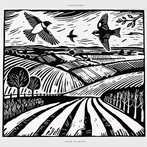 seaweather - room to grow cover